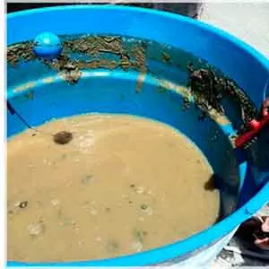 Oferecemos Limpeza de caixa de água em Simões Filho