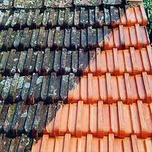 Áreas De Atuação da Limpeza de caixa de água em Simões Filho